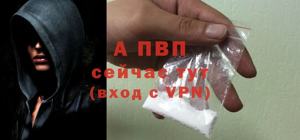 винт Алексин