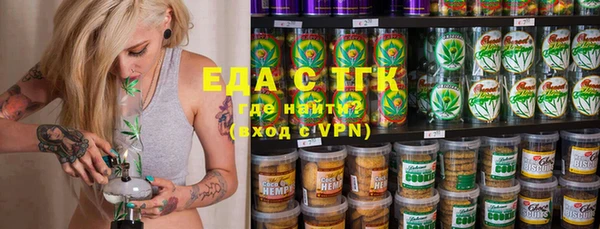 хмурый Алзамай