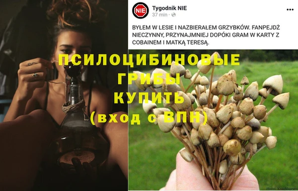хмурый Алзамай