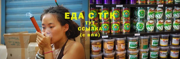 хмурый Алзамай