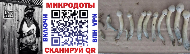 Галлюциногенные грибы Cubensis  как найти наркотики  Орск 